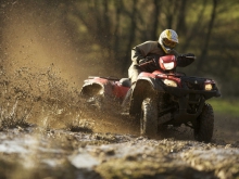 Фото Suzuki KingQuad 750 AXi  №5